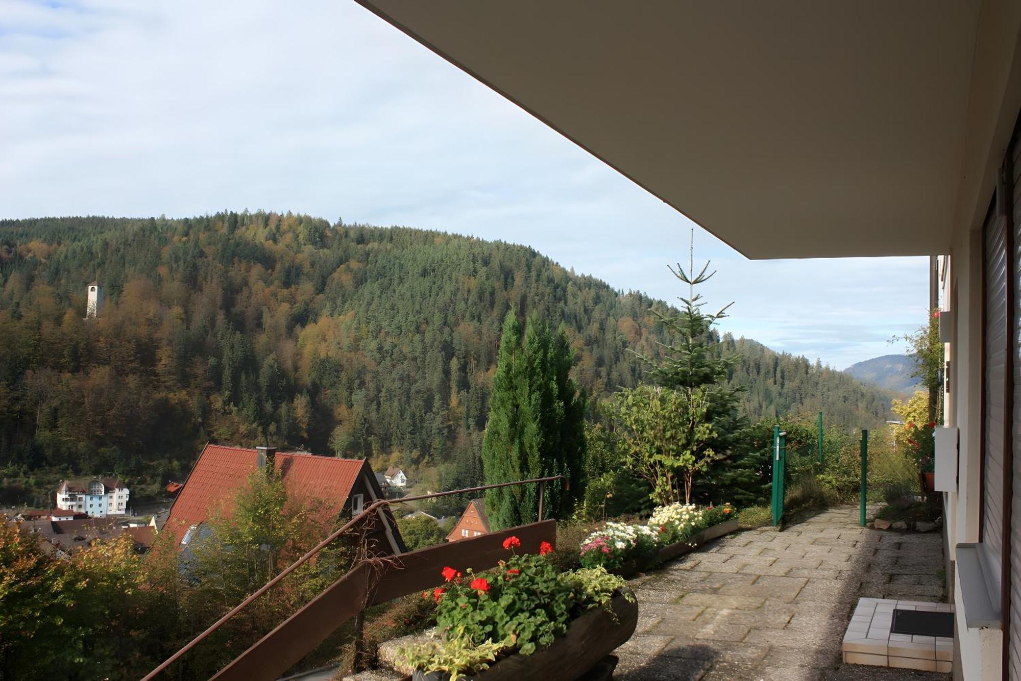 Ferienwohnung Mit Ca 60Qm Triberg im Schwarzwald Esterno foto