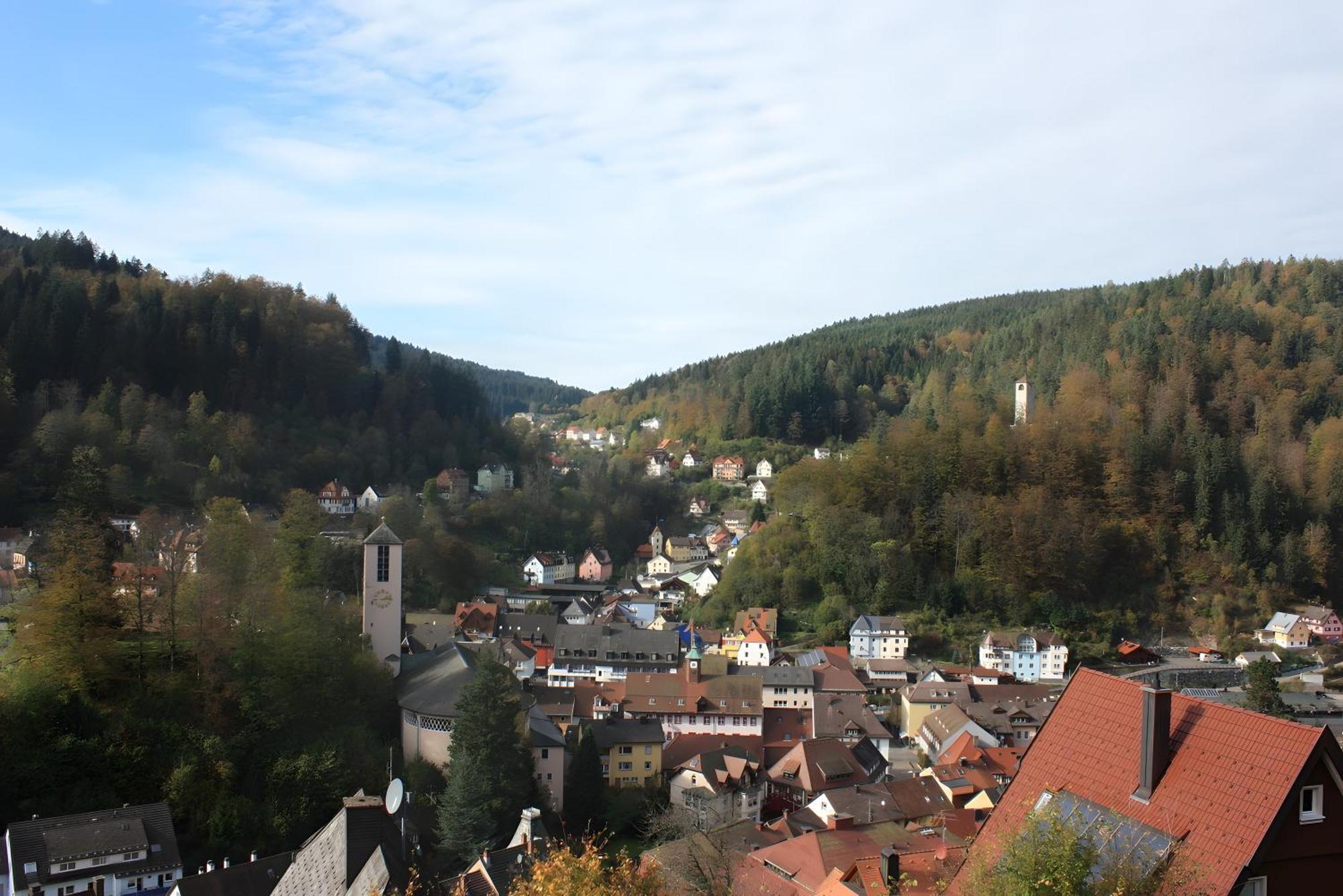Ferienwohnung King Triberg im Schwarzwald Esterno foto