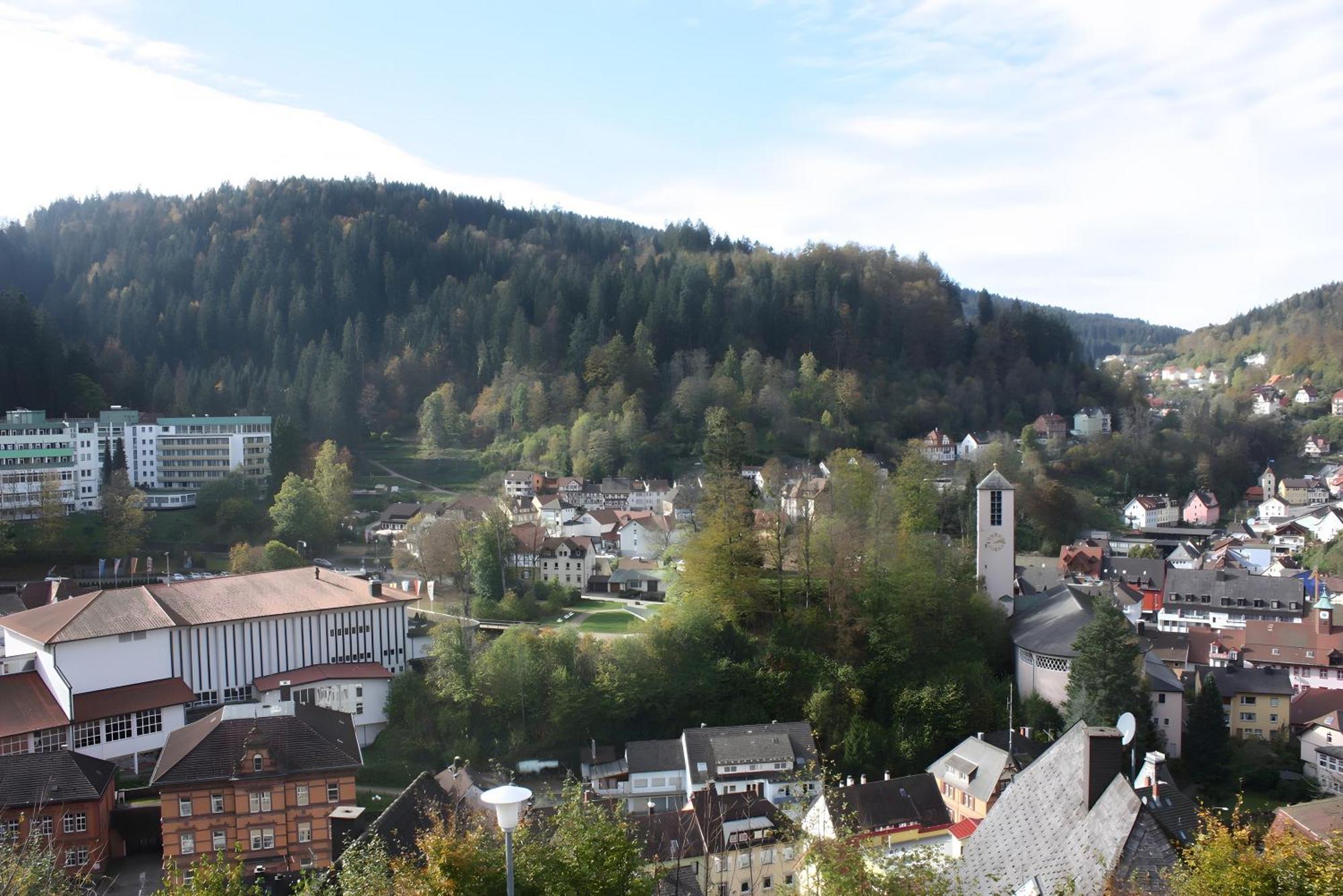 Ferienwohnung Mit Ca 60Qm Triberg im Schwarzwald Esterno foto