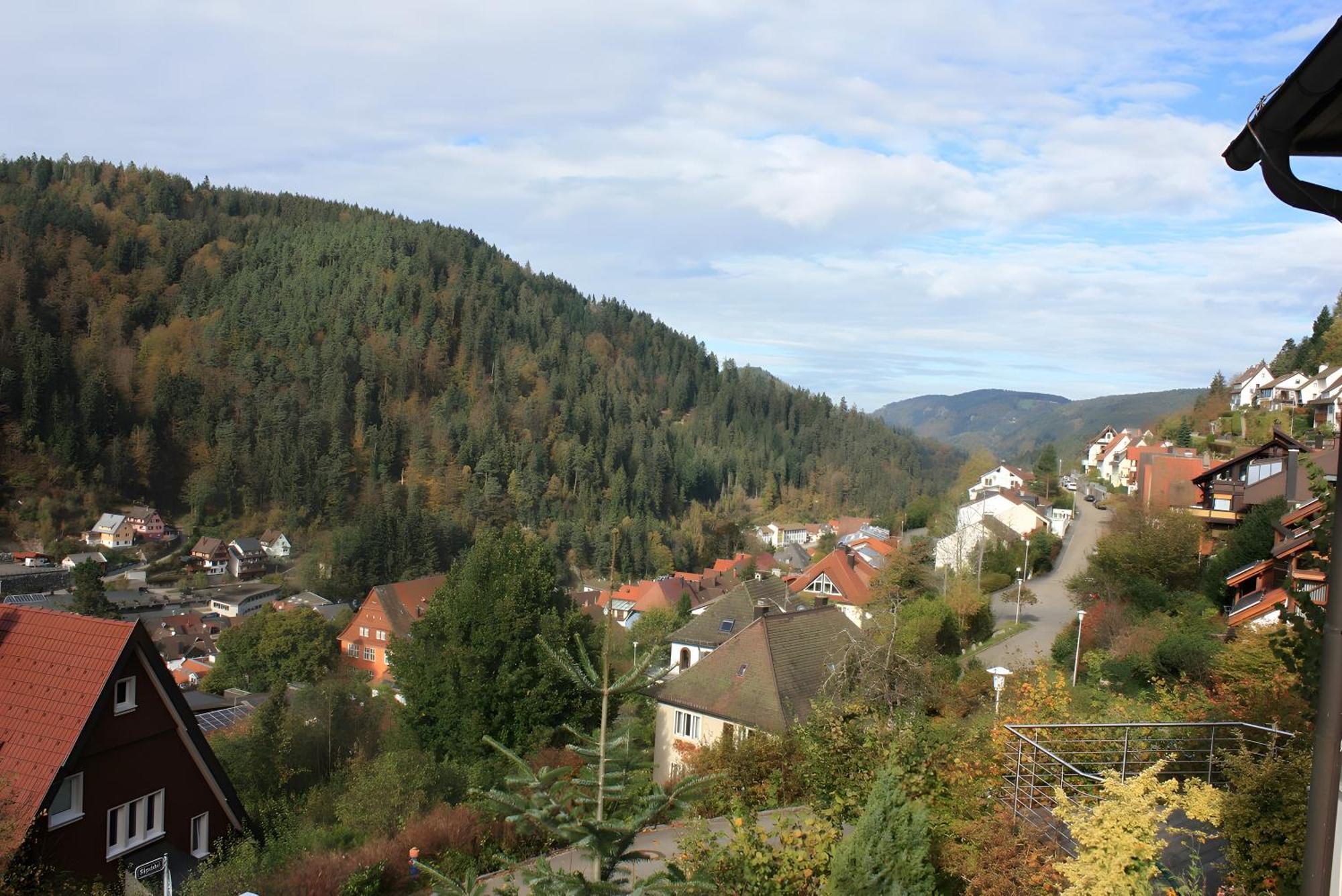 Ferienwohnung King Triberg im Schwarzwald Esterno foto